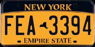 NY license plate FEA3394