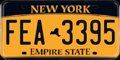 NY license plate FEA3395