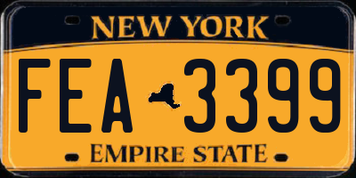 NY license plate FEA3399