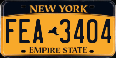 NY license plate FEA3404