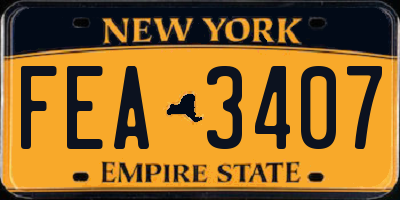 NY license plate FEA3407