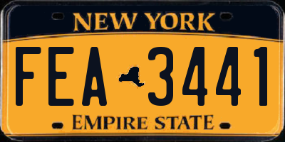 NY license plate FEA3441