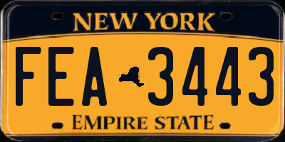 NY license plate FEA3443