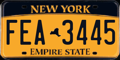 NY license plate FEA3445