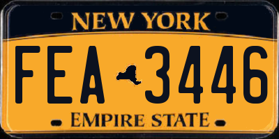 NY license plate FEA3446