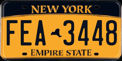 NY license plate FEA3448