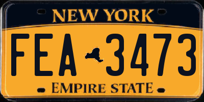 NY license plate FEA3473