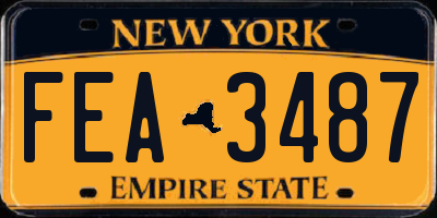 NY license plate FEA3487