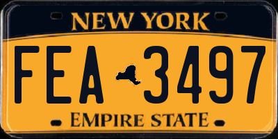 NY license plate FEA3497