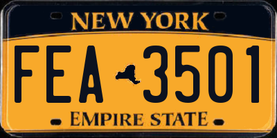 NY license plate FEA3501