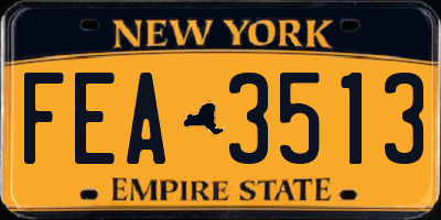 NY license plate FEA3513
