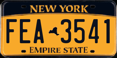 NY license plate FEA3541
