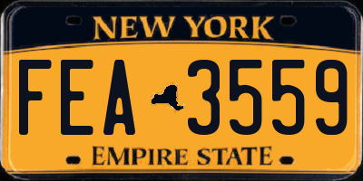 NY license plate FEA3559