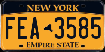NY license plate FEA3585