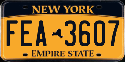 NY license plate FEA3607