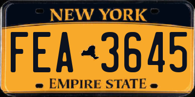 NY license plate FEA3645