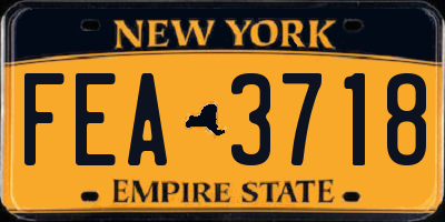 NY license plate FEA3718