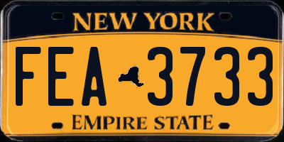 NY license plate FEA3733