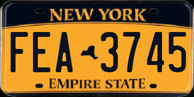 NY license plate FEA3745
