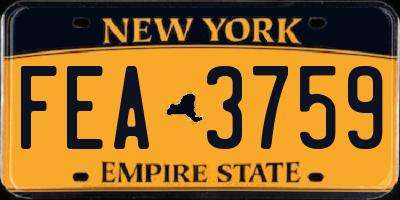 NY license plate FEA3759