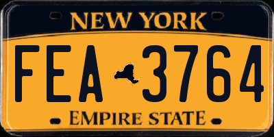 NY license plate FEA3764