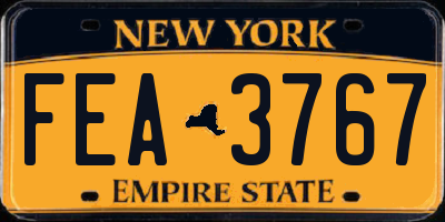 NY license plate FEA3767