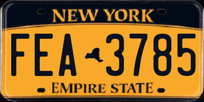NY license plate FEA3785