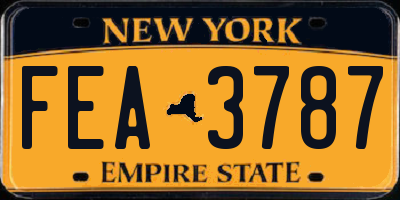 NY license plate FEA3787