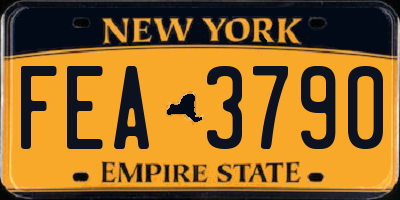 NY license plate FEA3790