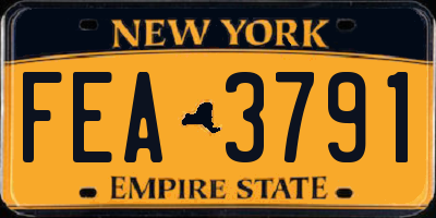 NY license plate FEA3791