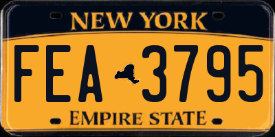 NY license plate FEA3795
