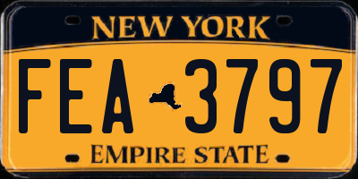 NY license plate FEA3797