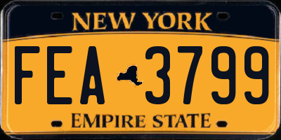 NY license plate FEA3799