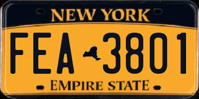 NY license plate FEA3801