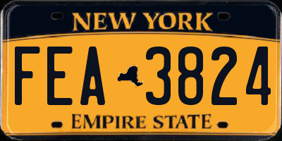 NY license plate FEA3824