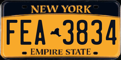 NY license plate FEA3834