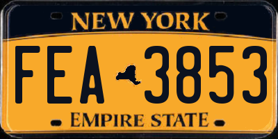 NY license plate FEA3853