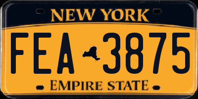 NY license plate FEA3875