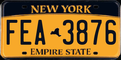 NY license plate FEA3876