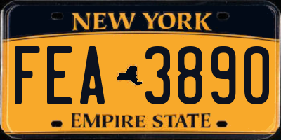 NY license plate FEA3890