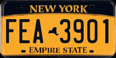 NY license plate FEA3901