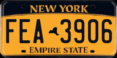 NY license plate FEA3906