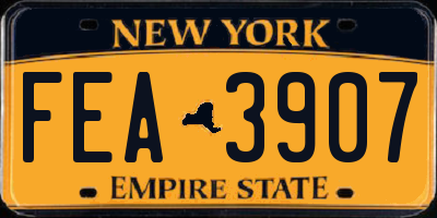 NY license plate FEA3907