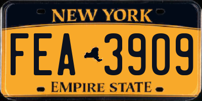 NY license plate FEA3909
