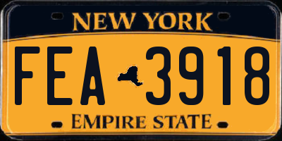 NY license plate FEA3918