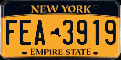NY license plate FEA3919