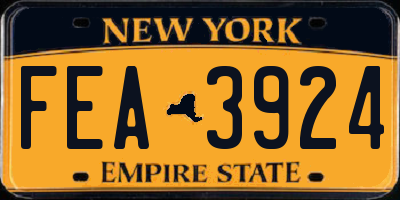 NY license plate FEA3924