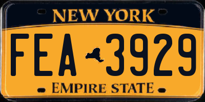 NY license plate FEA3929
