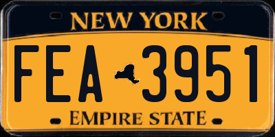 NY license plate FEA3951