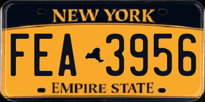 NY license plate FEA3956